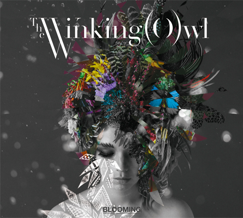The Winking Owl、筧美和子出演の新曲「Bloom」MVを公開