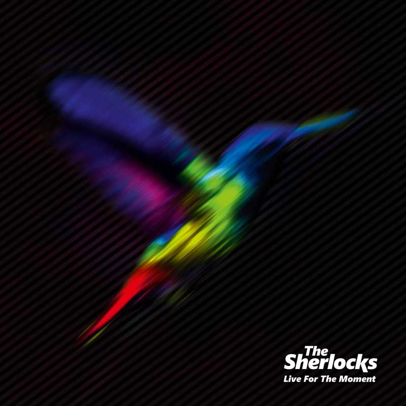 アークティックの再来!? 2組の兄弟による新人バンド、ザ・シャーロックスが8月にデビューアルバムをリリース