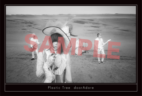 Plastic Tree、ニューアルバム限定盤DVDよりパシフィコ横浜公演のトレーラー映像を公開