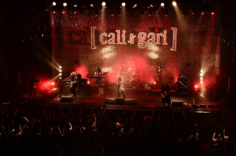 cali≠gari、活動休止直前ライブ公園を収録したDVDのリリースが決定