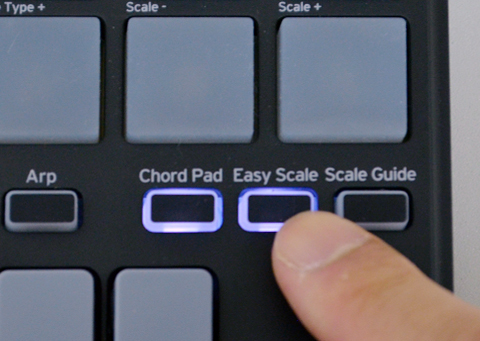 「Chord Pad」をONにすると、設定しているスケール/キーに沿った和音をパッドで演奏できる。その隣の「Easy Scale」をONにすると、キーボードの黒鍵でパッドと同じ和音が、白鍵盤ではスケール/キーに沿ったフレーズが弾けるようになる