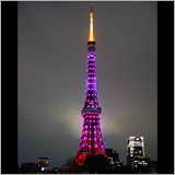 東京タワー×コブクロの「桜コラボ」が開始