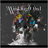 The Winking Owl、筧美和子との共演が実現した新曲ティザー映像を公開