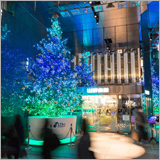 山野楽器、今年も本店前にクリスマスツリーが登場！ マライアの名曲＆『アナ雪』主題歌で銀座を音と光で彩る