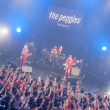 the peggies、自身最大規模ワンマンツアー完走！（6月15日、満員のマイナビBLITZ赤坂）