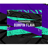 Native Instruments、新EXPANSION「BUMPIN FLAVA」をリリース！（UKガラージの定番サウンドを見直し、新たな解釈を加えた拡張音源）