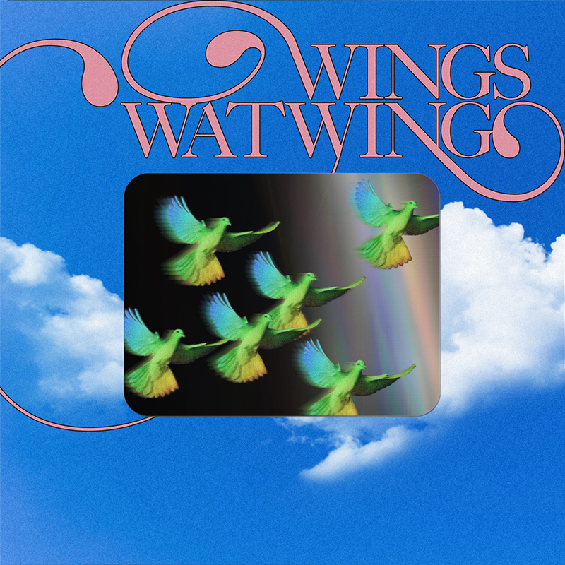 WATWING、アーティストコラボ第三弾 SALU×SUNNY BOYプロデュース楽曲「WINGS」をデジタルリリース！ SALUからコメント到着 ＆ 「WINGS」 Music Videoティザー公開！