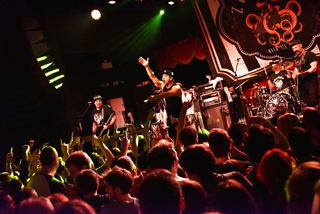 Zebrahead