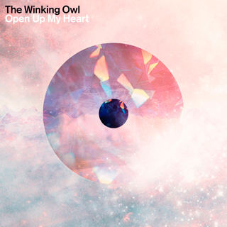 The Winking Owl、ニューシングルからボーカルLuiza初作曲の「Here For You」MVを公開