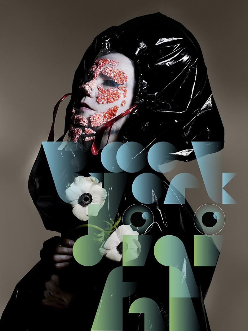 Björk,ビョーク/