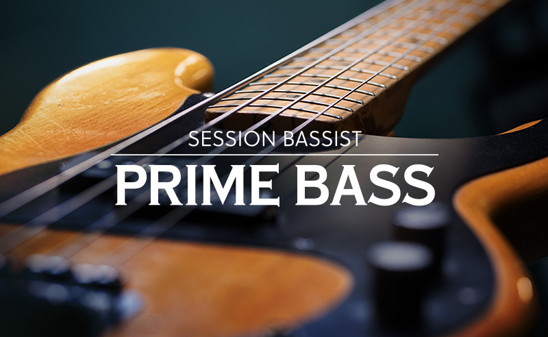 Native Instruments「SESSION BASSIST — PRIME BASS」