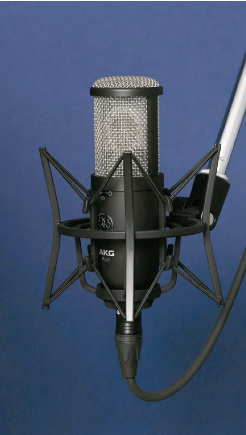 マイク試聴レビュー【AKG C314／AKG P420】｜TuneGate.me