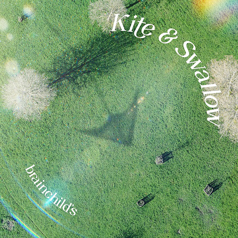 brainchild’s「Kite & Swallow」
